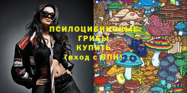 спиды Алексин
